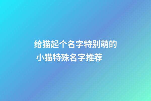 给猫起个名字特别萌的 小猫特殊名字推荐